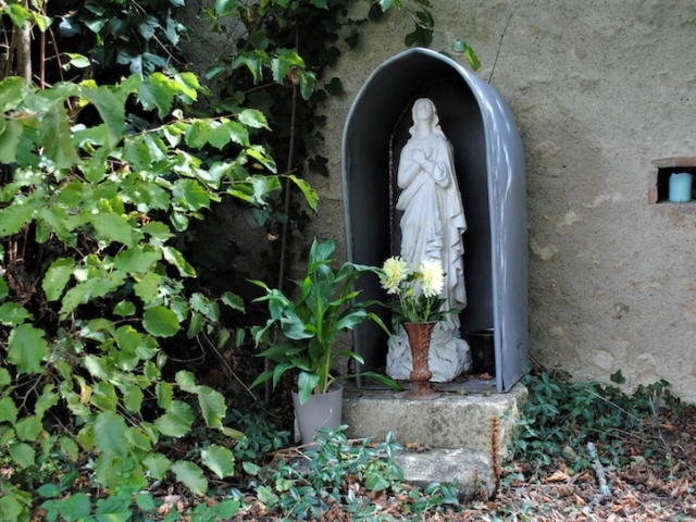 DSC_0701 (2)